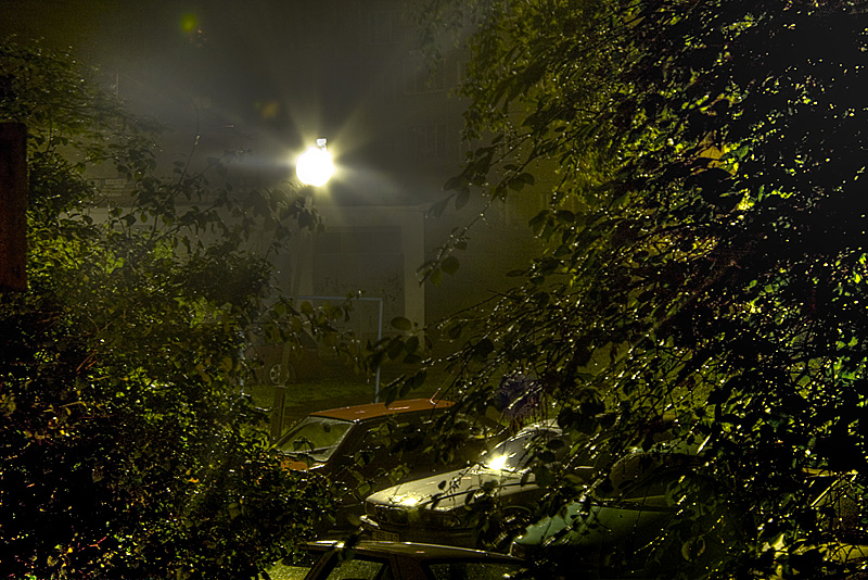 Yard im Sommer regen