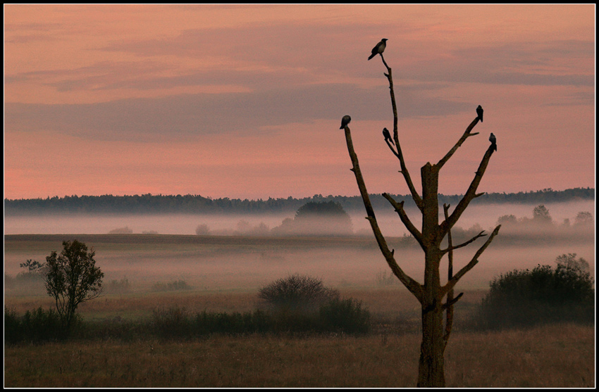 Pjatniza dreizehnten