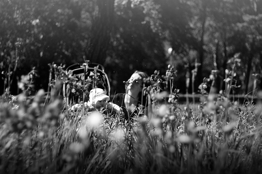 In Gräser / Kräuter