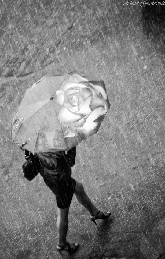 Die Regenschirme von Cherbourg