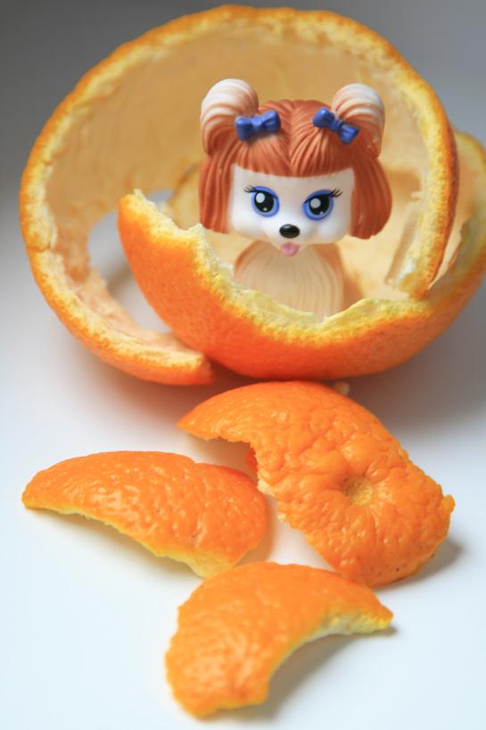 neu ausgebrütet ...