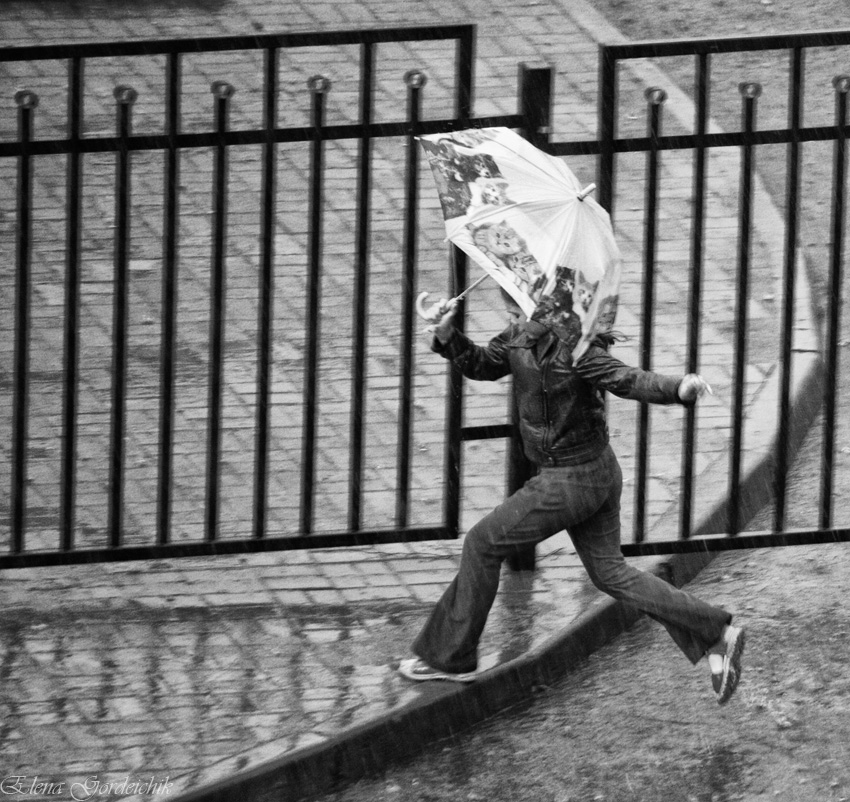 Die Regenschirme von Cherbourg II