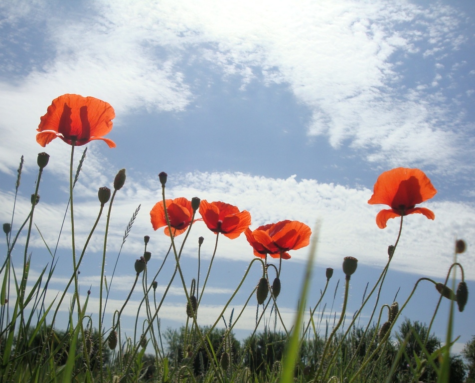 Heikle Angelegenheit