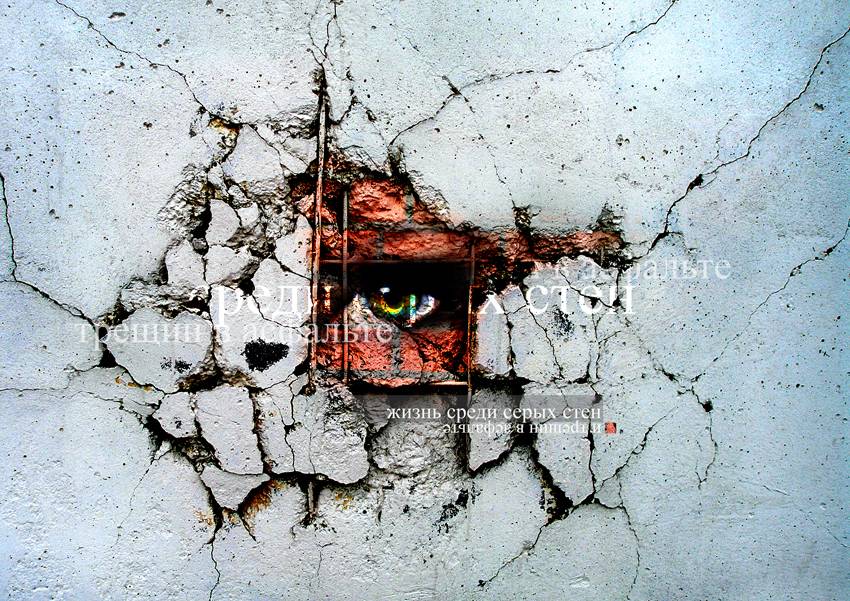 Leben unter den grauen Mauern und Risse im Asphalt ...