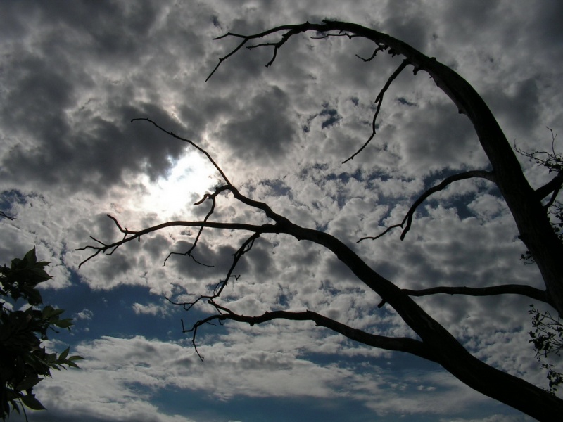 Und in der Dunkelheit gibt es ein Sonnenstrahl