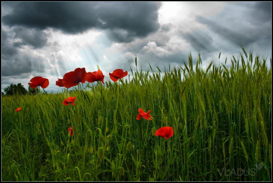 Gib mir nur eine Sekunde ...