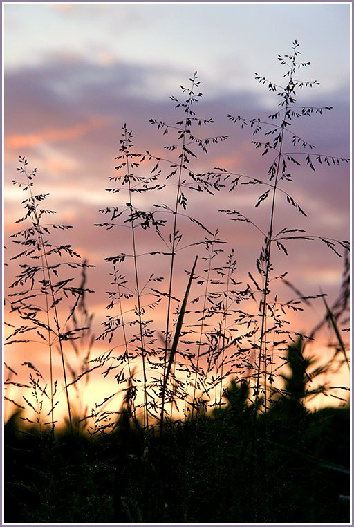 Sehen Sie den Sonnenuntergang