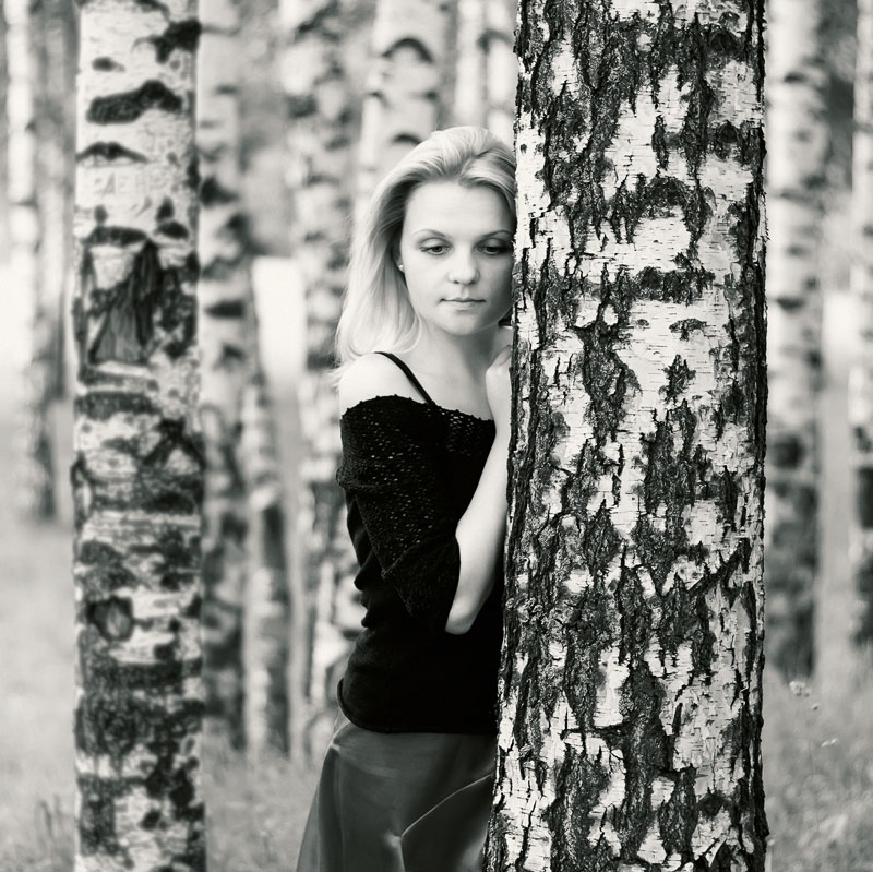 ... Birch Traurigkeit ...