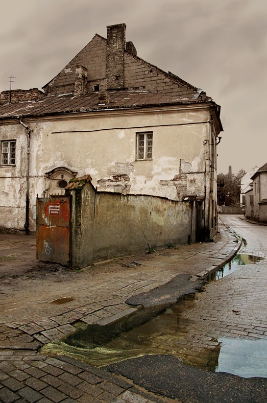 Regen posbivalo Pollen von Bäumen ...