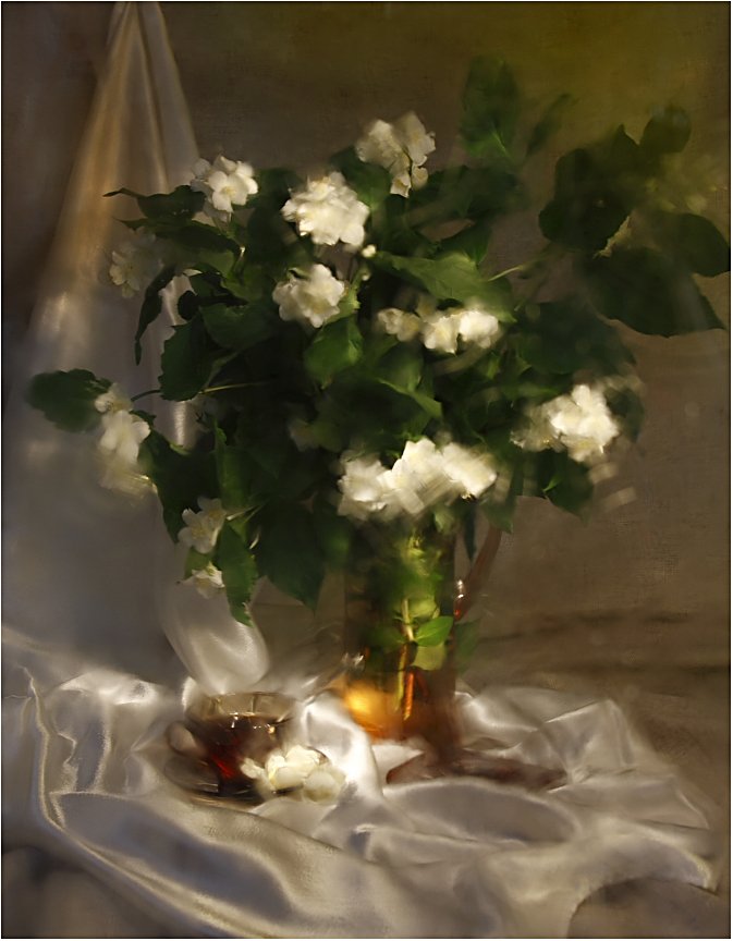 Jasmine Still Life