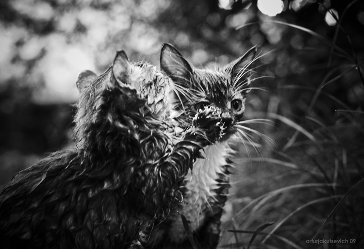 Holen Sie sich die Nase mit seinem Bruder ...