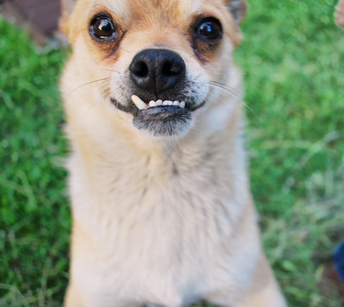 Die charmanten Lächeln;)