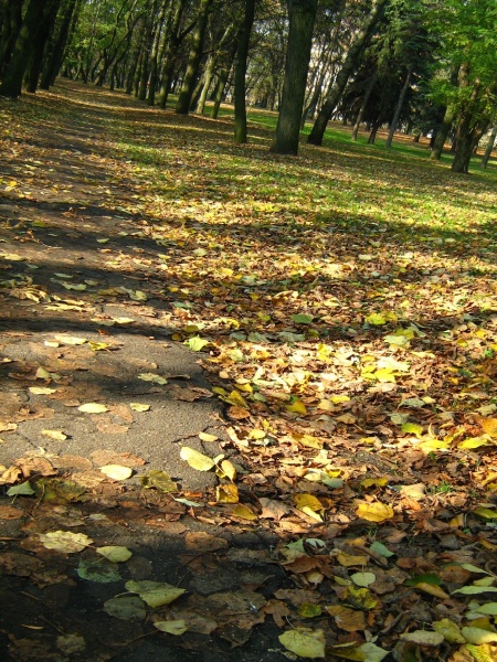 auf der Straße im Herbst