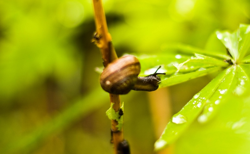 Mein Häuschen in der Nähe über, um hart