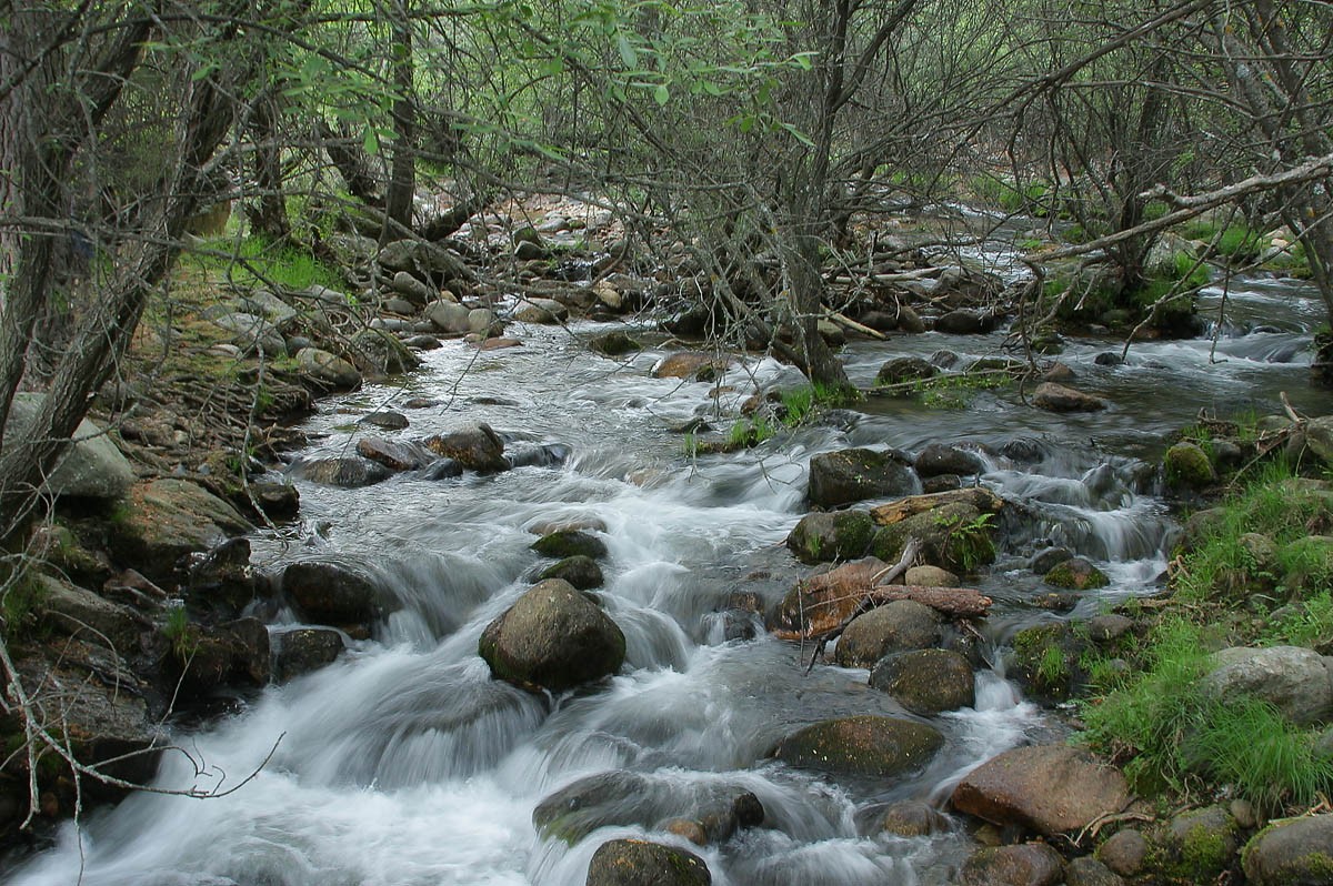 Mountain Stream