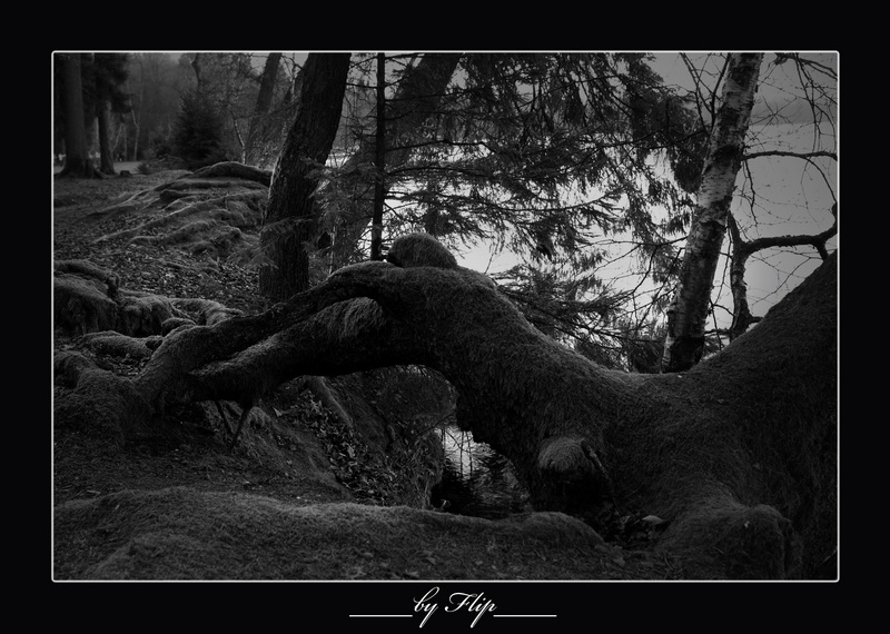 Svityazyanskoe Monster