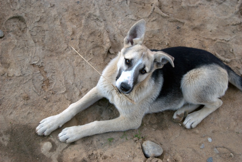 I'm your friend!..do you believe me?..