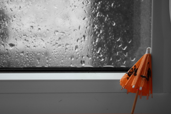 the season of the rain