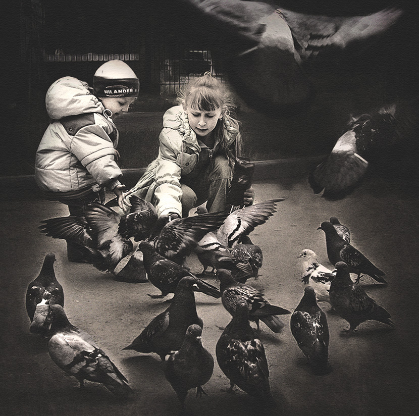 Kinder und Tauben