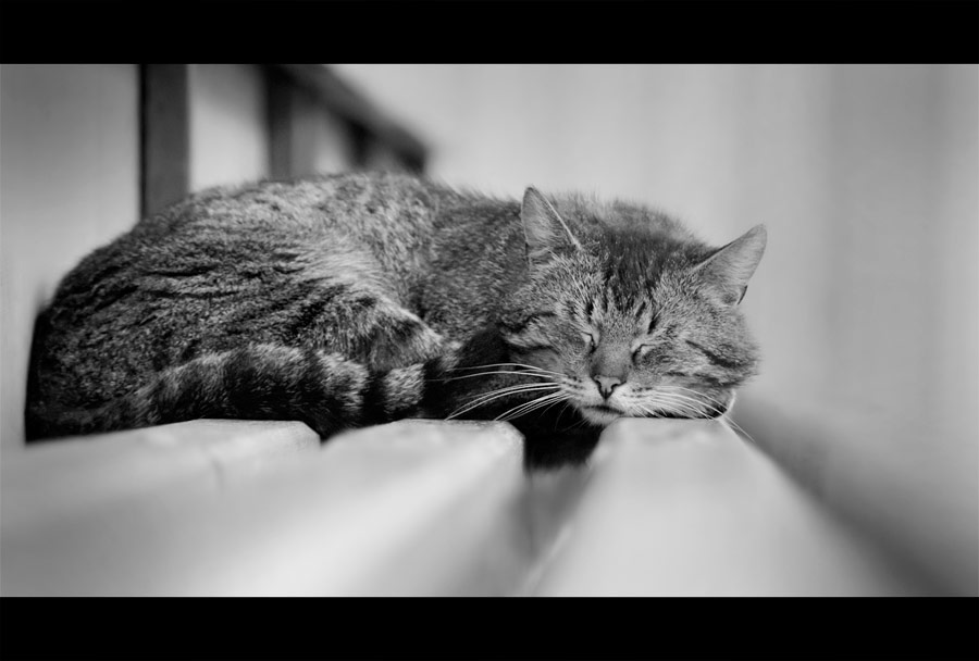 Und die Menschen waren zu Fuß durch ...