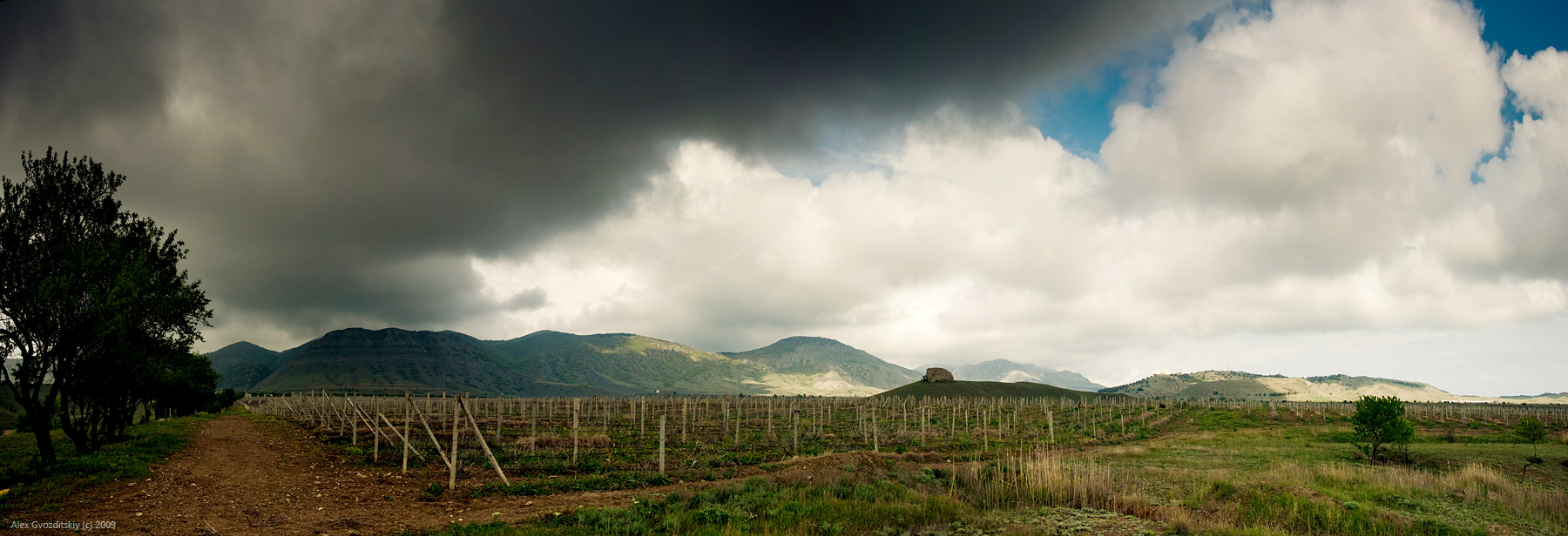 Sun Valley Vineyards