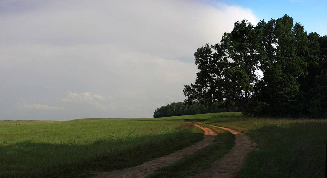 aus familiären Gründen