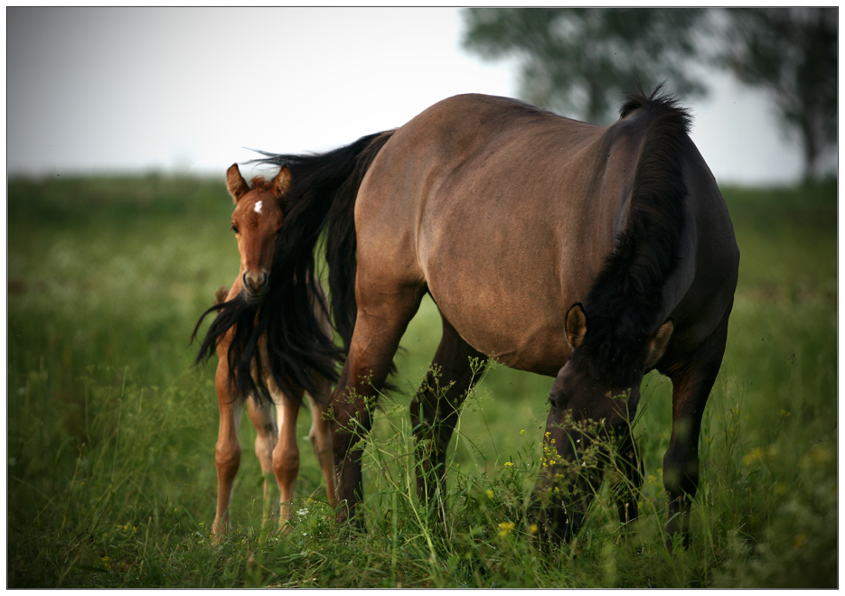Mom! Achego ist er sah mich an wie ein Auge schauen?