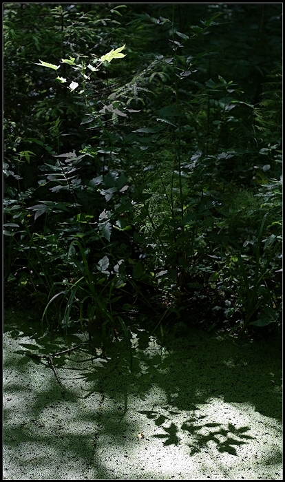 Das Spiel von Licht ...