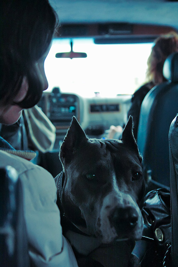 Am belarussischen Straßen zusammen