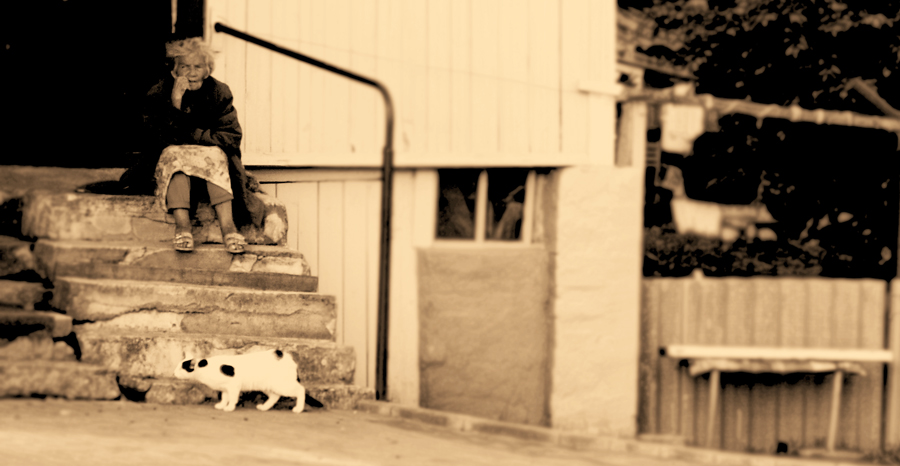 Gesprächspartner nur Katze