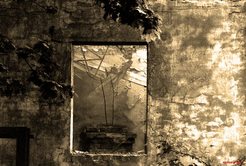 disappear in silence