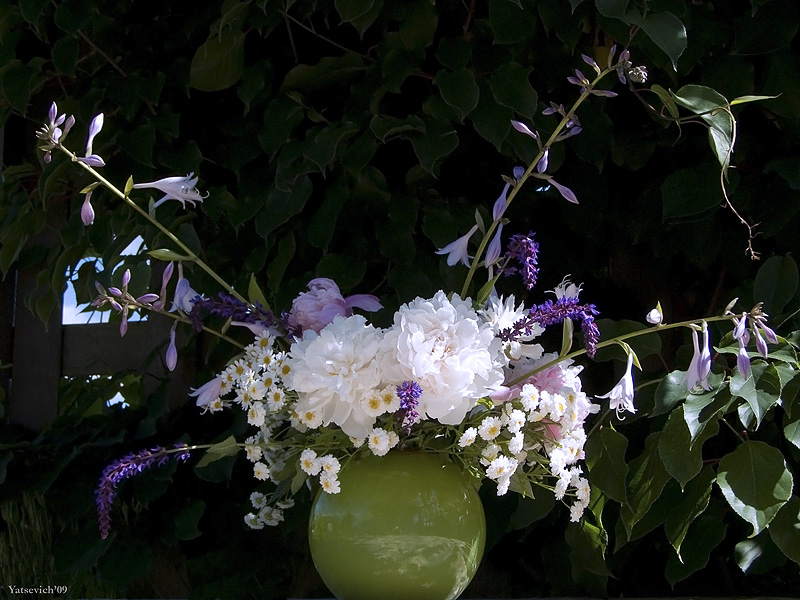 Natsyurmort ist kvetkamі