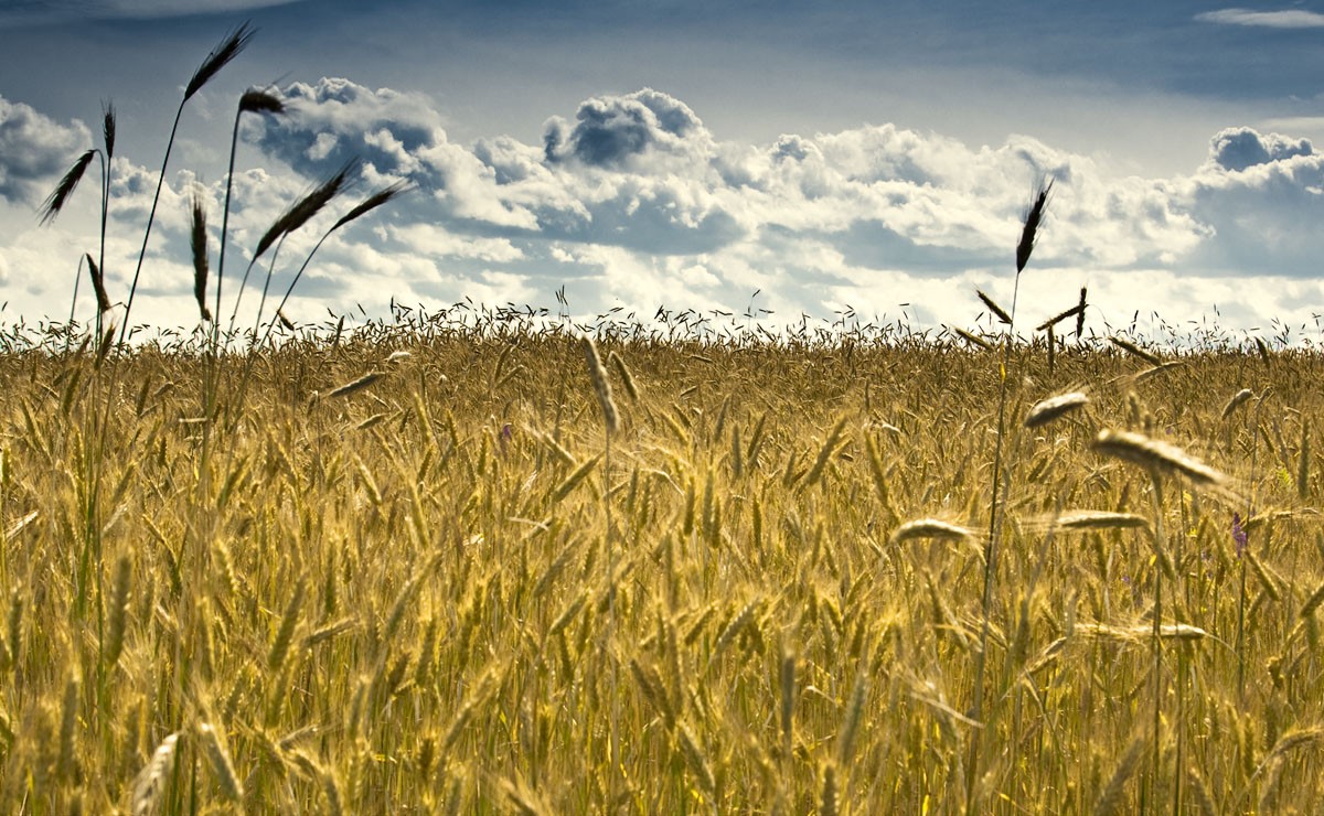 Dieser heiße Sommer