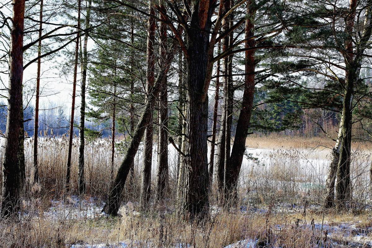 den ersten Tagen des Jahres 2009