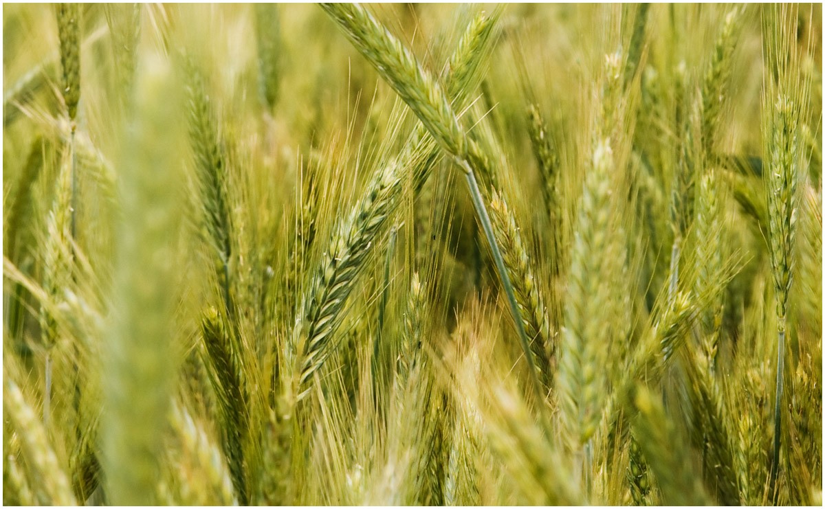 Die Wahrheit liegt im Detail ...