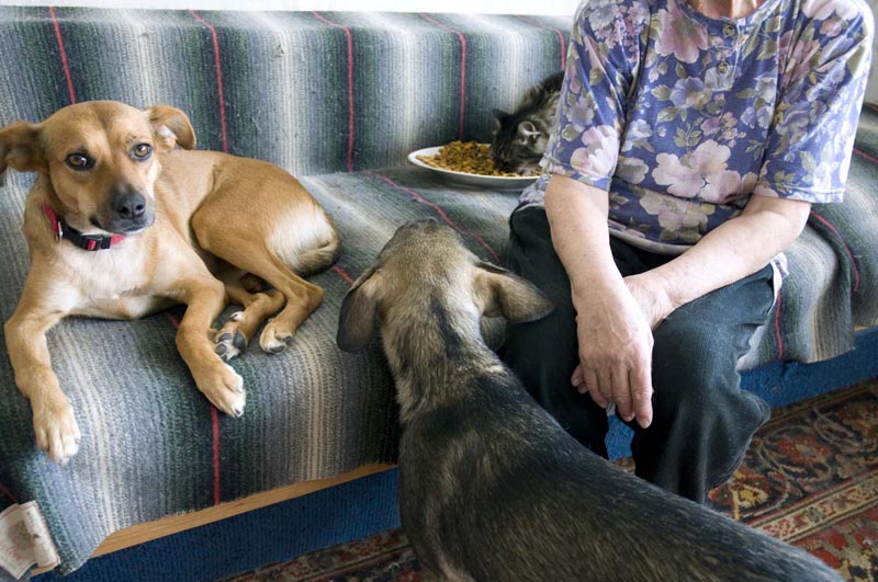 Für ein Archiv der Zeit