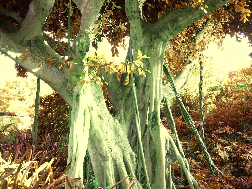 Auf der mikroskopischen ...