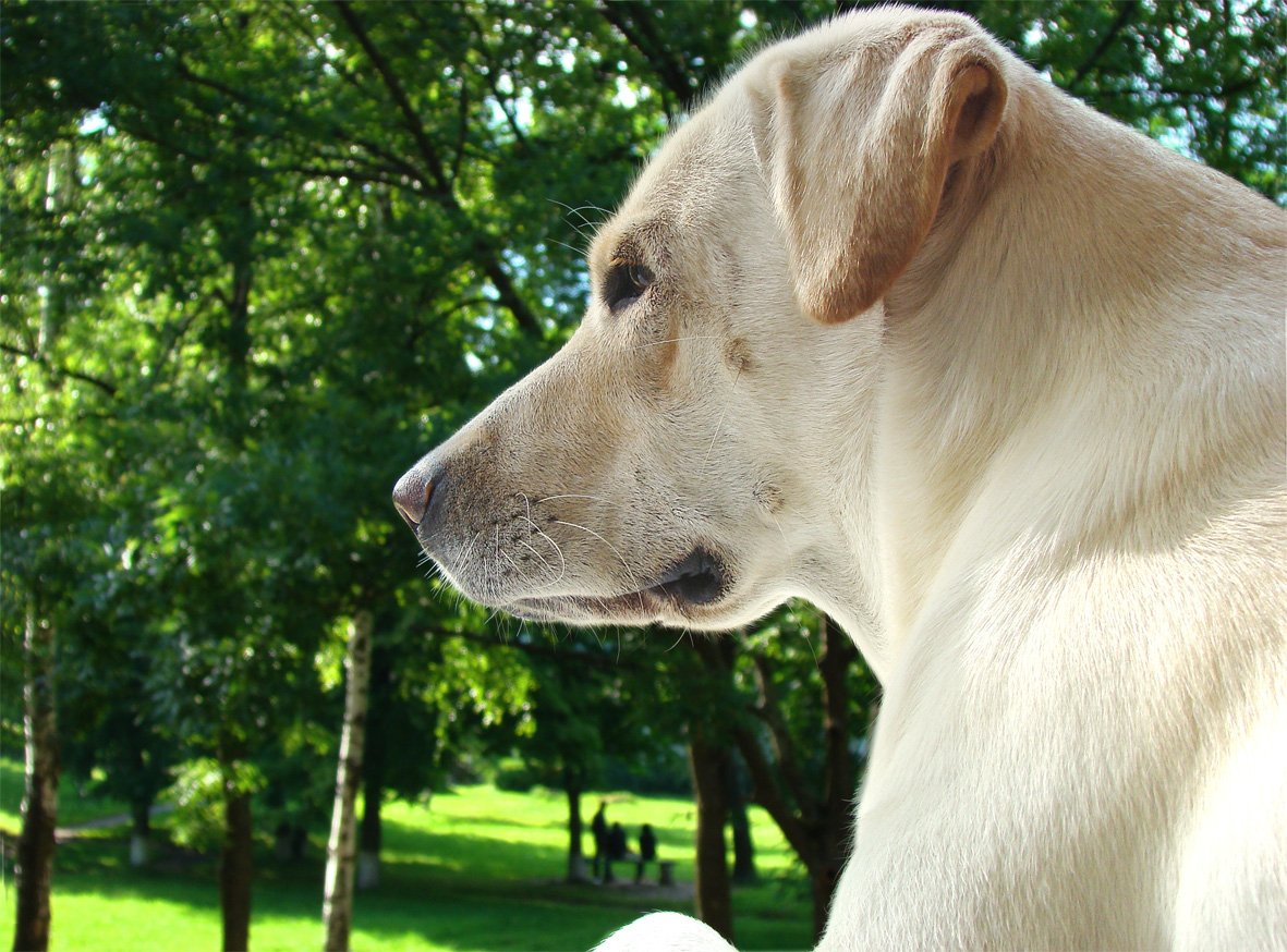 Im Vorgriff auf den Host