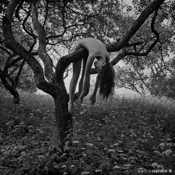 Über das Gesetz der Anziehung