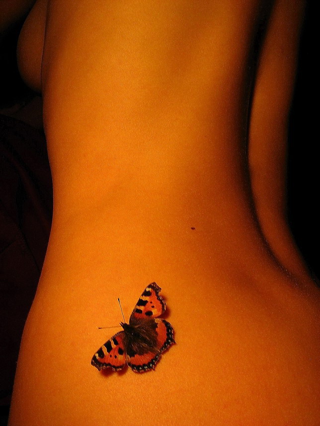 Ich mag eine Motte um eine Flamme