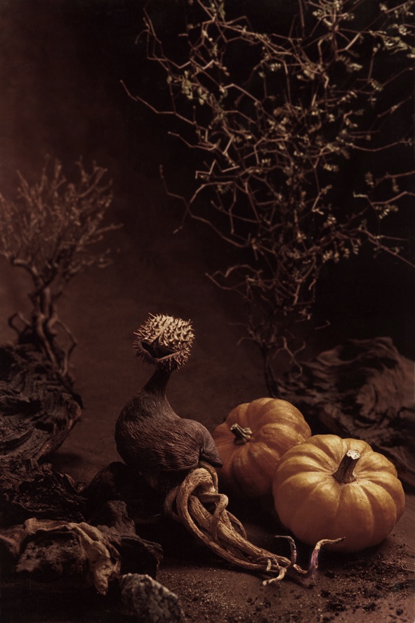 Wenn diese Kürbisse - Sicherheit ist ...