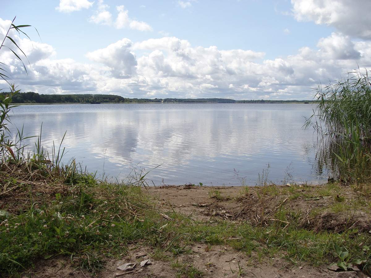 Meine Muttersprache kut