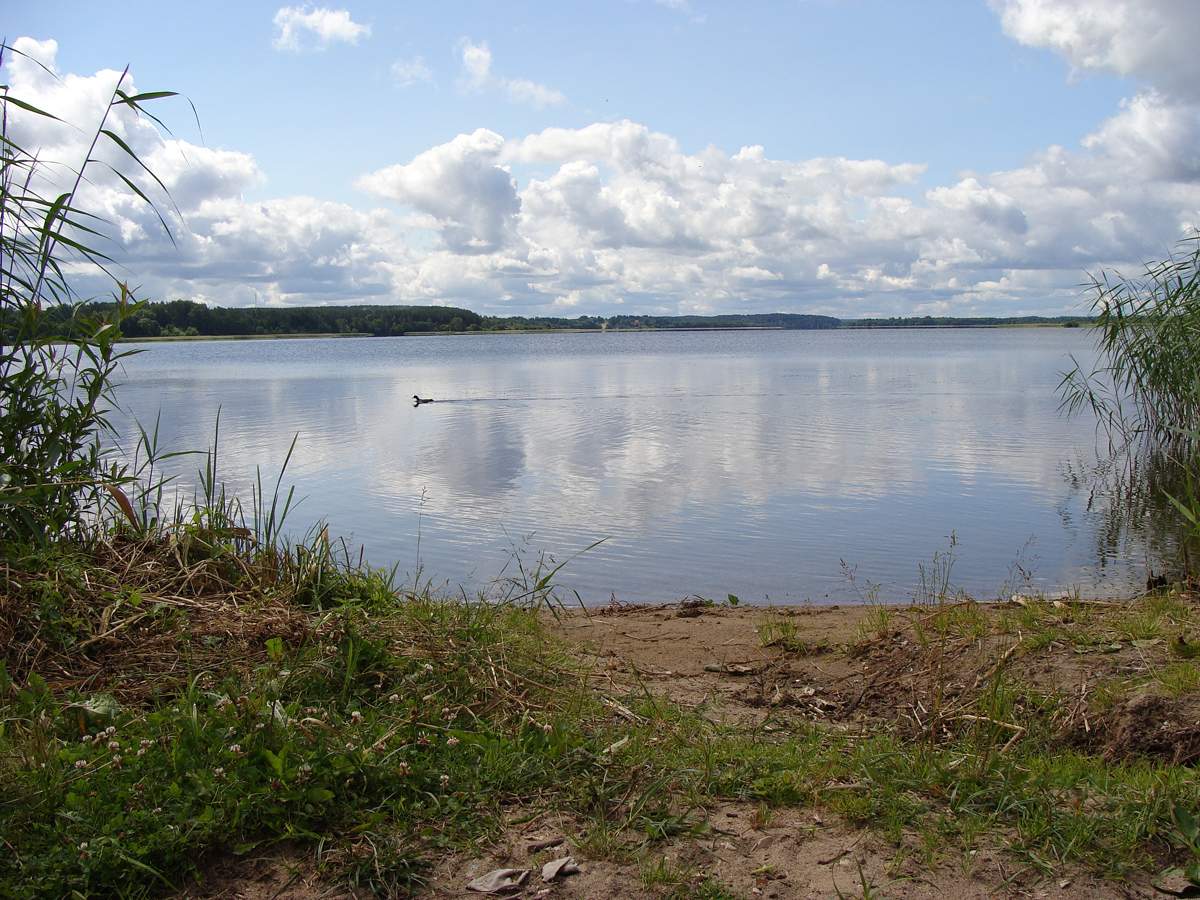 Meine Muttersprache kut (Fota 2)