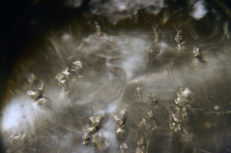 Aus dem Leben der Blasen