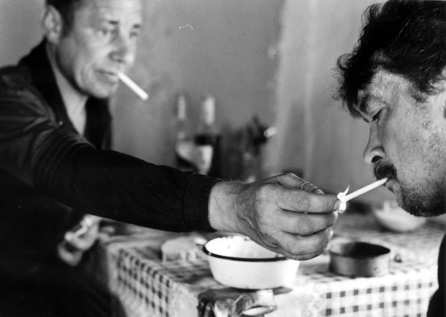 Pro Dimku-zakurim drug..