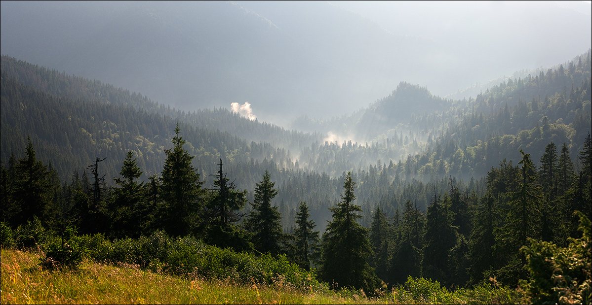 Marmoroshskoe Morgen