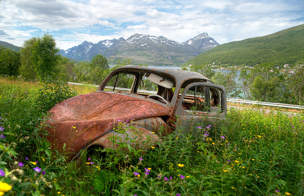 Am Rande des Lebens ...