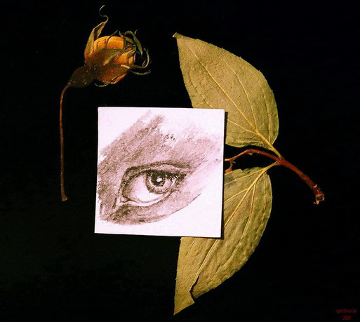 Stillleben mit einem Auge