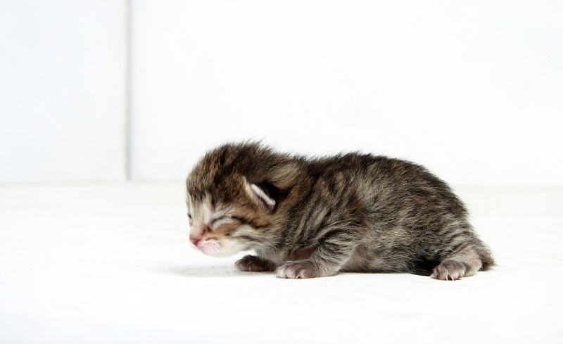 Und niemand in der Nähe ..