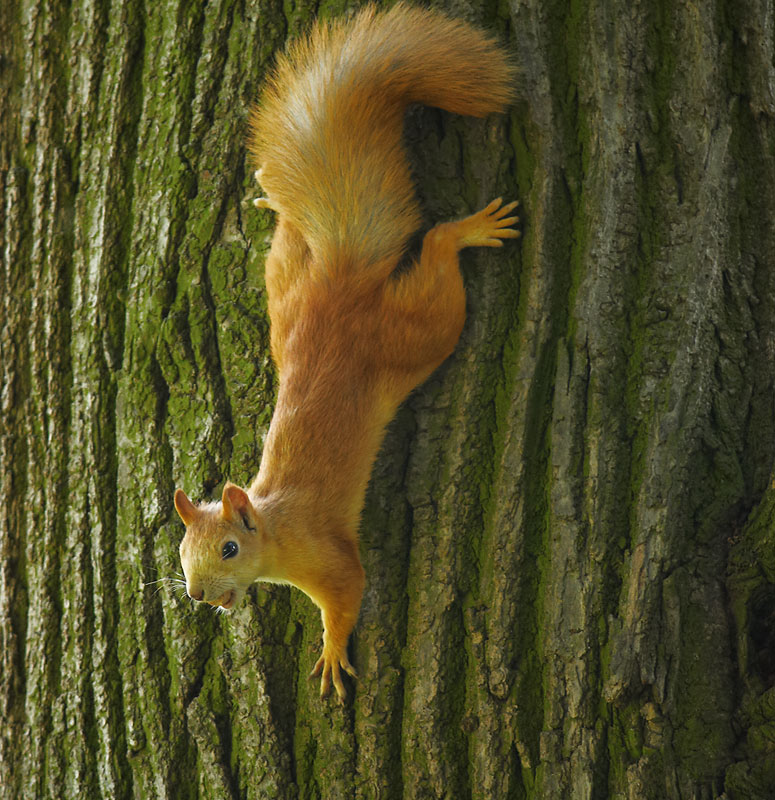 Was starrst du? Protein nicht sehen?